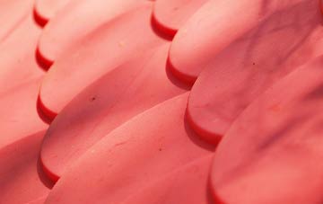 Carlby plastic roof costs